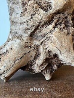 Driftwood Piece huge V. Heavy. Whole treestump Bogwood for viv, or Display