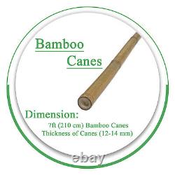 Heavy Duty Canes Bamboo Garden Thick Quality Plant Veg Support Cane Strong Stick