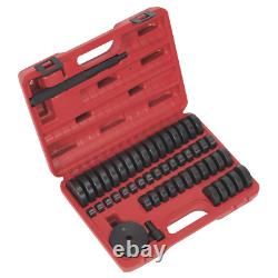 Sealey Bearing Race & Heavy Duty Steel Seal Driver Set 52 Pieces VS7032