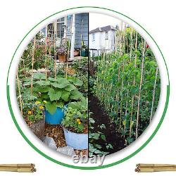 Bâtons de soutien en bambou de qualité épaisse pour le jardinage intensif